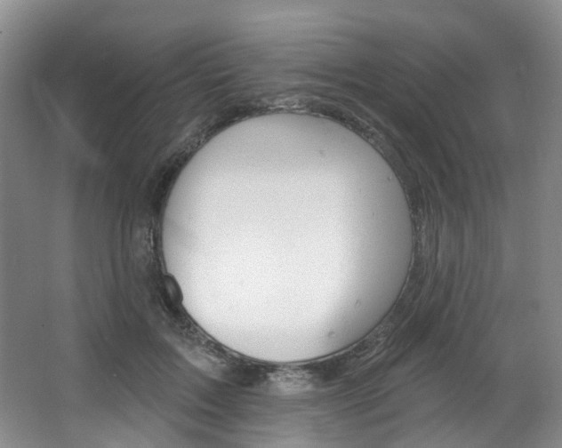 X0000068740603200604281018