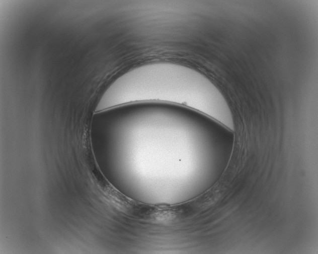 X0000068740604200604281018