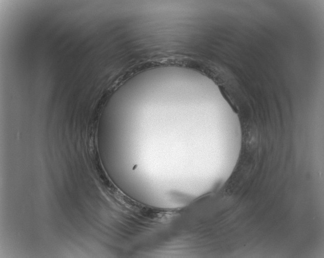 X0000068740607200604281018