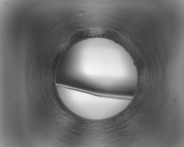 X0000068740608200604281018