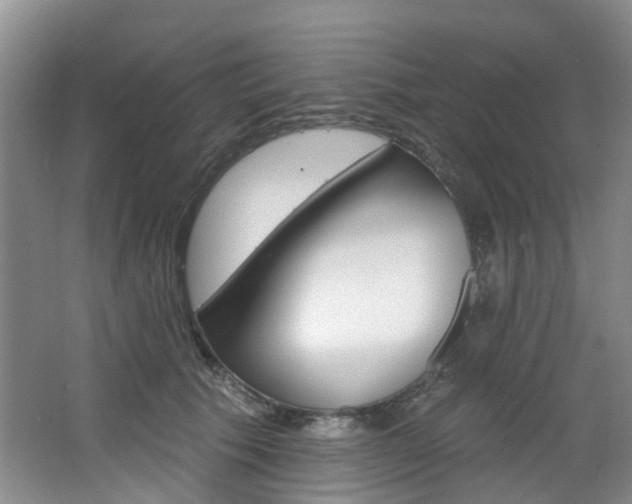 X0000068740609200604281018