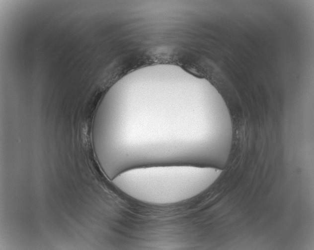 X0000068740610200604281018