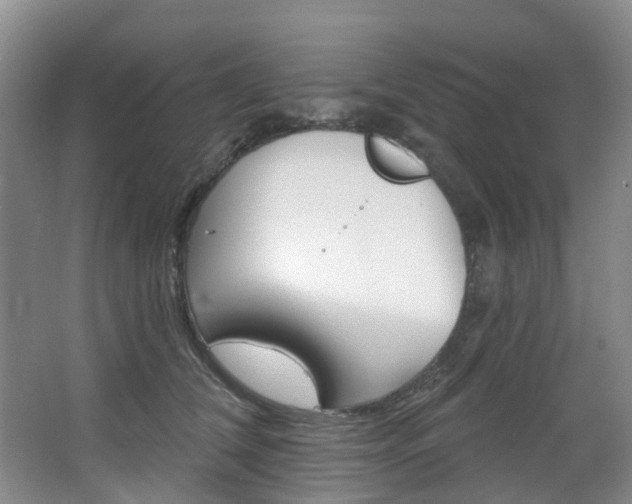 X0000068740612200604281018