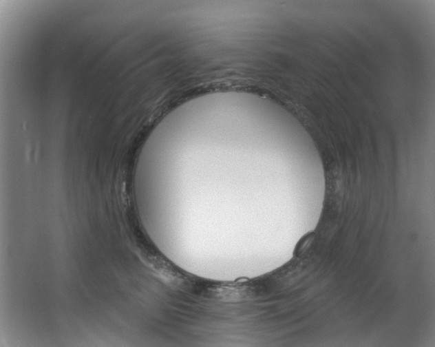 X0000068740615200604281018