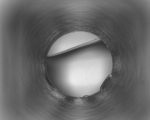 X0000068740616200604281018