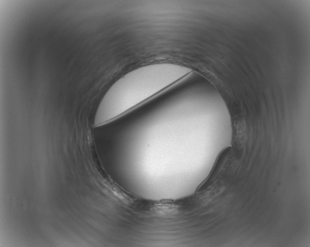 X0000068740617200604281018