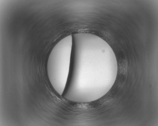 X0000068740618200604281018