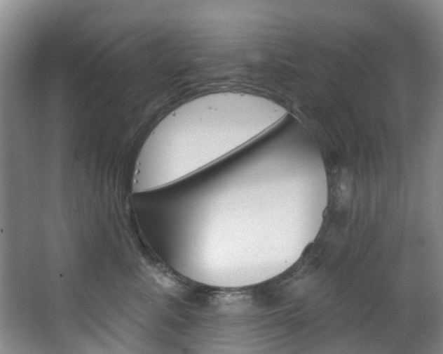 X0000068740619200604281018