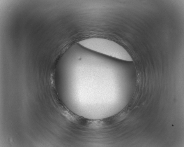 X0000068740621200604281018