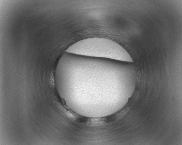 X0000068740622200604281018