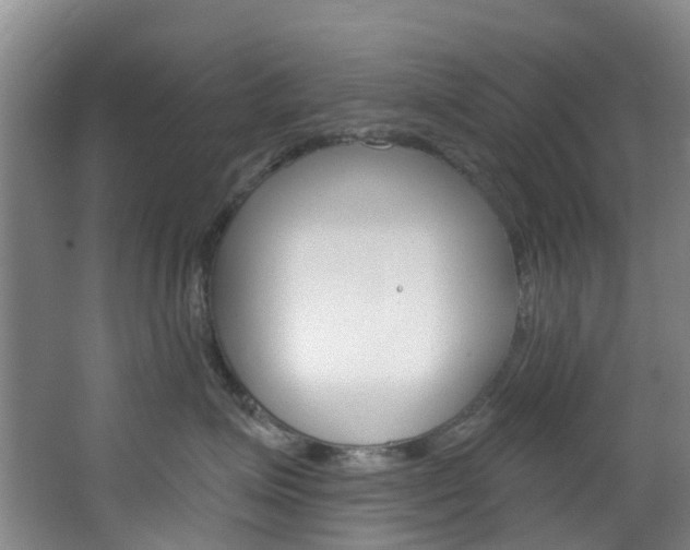 X0000068740623200604281018