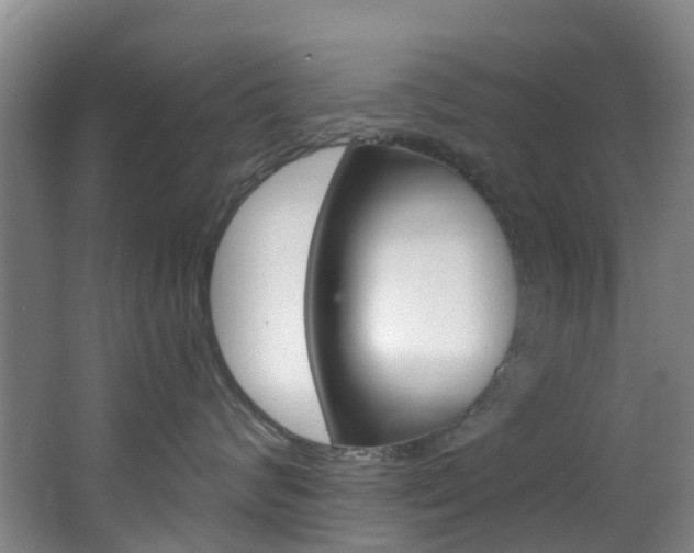 X0000068740624200604281018