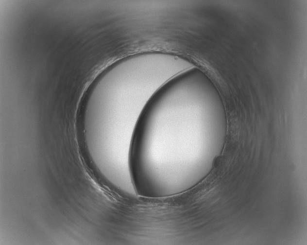 X0000068740626200604281017