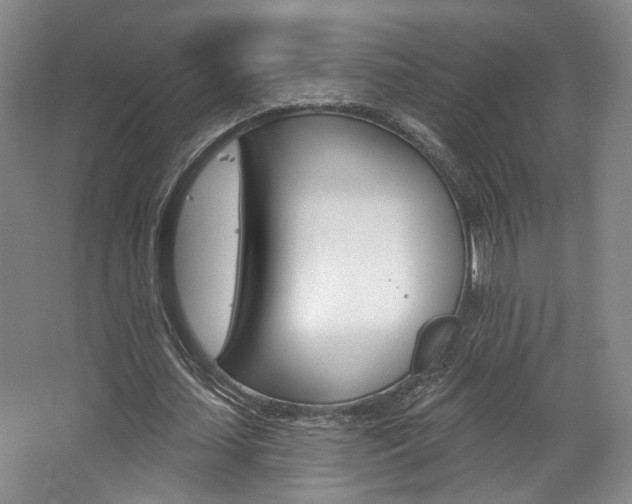 X0000068740627200604281017