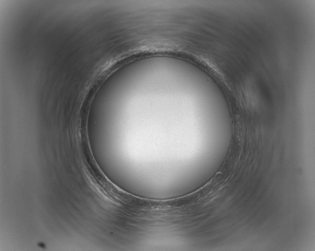 X0000068740631200604281017