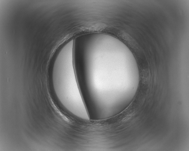 X0000068740634200604281017