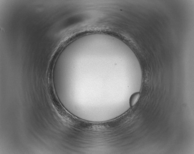 X0000068740636200604281017