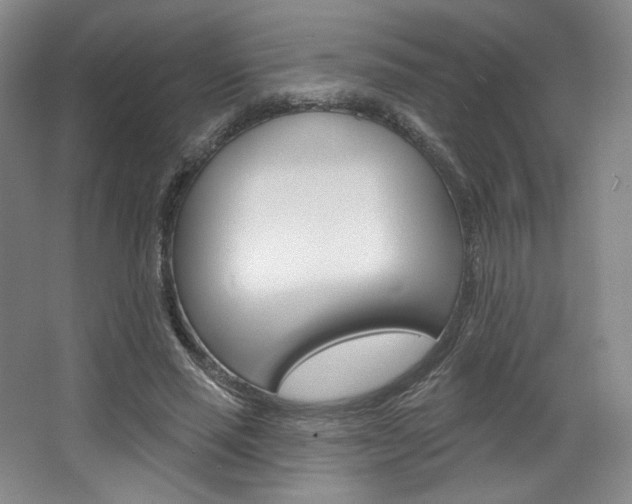 X0000068740637200604281017