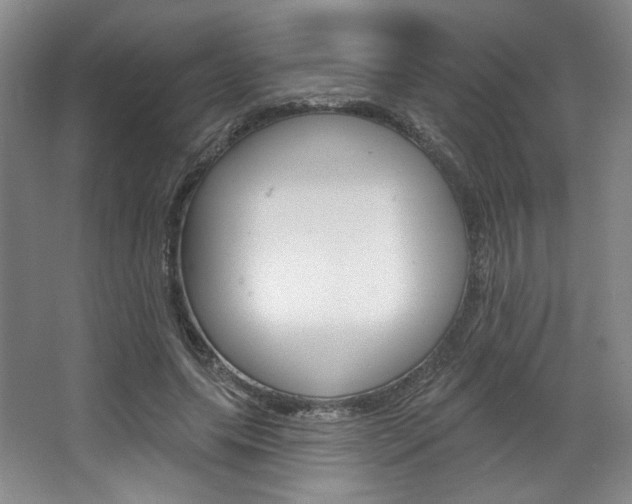 X0000068740639200604281017