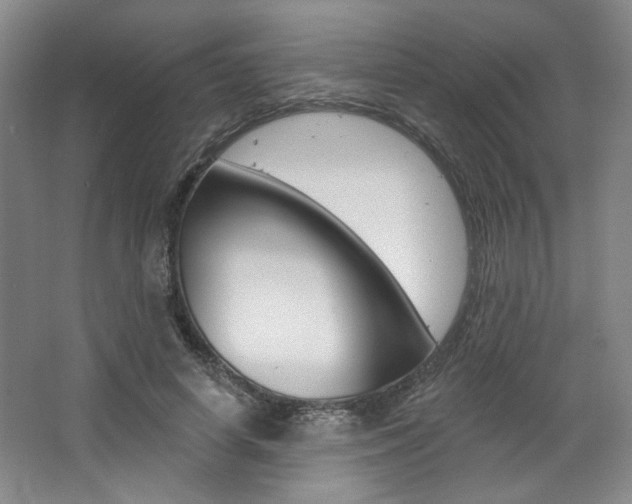 X0000068740642200604281017