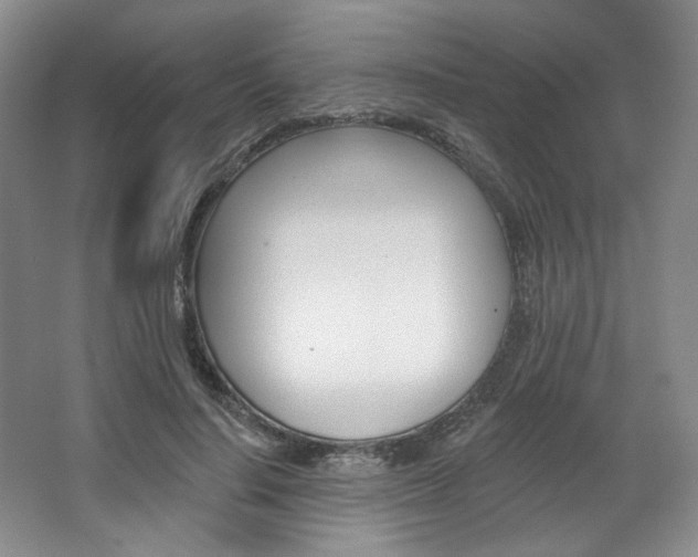 X0000068740644200604281017