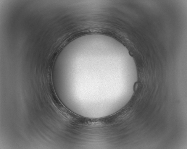 X0000068740645200604281017