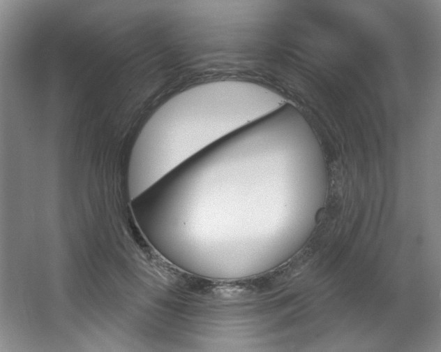 X0000068740650200604281017