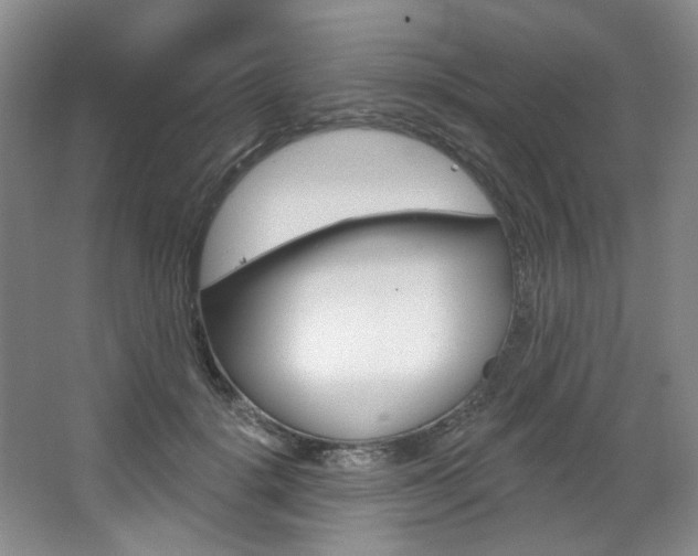 X0000068740652200604281017