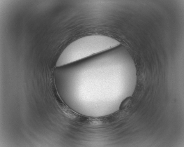 X0000068740658200604281017