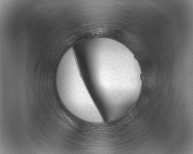 X0000068740660200604281017