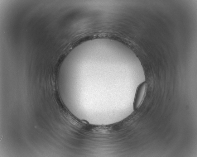 X0000068740661200604281017