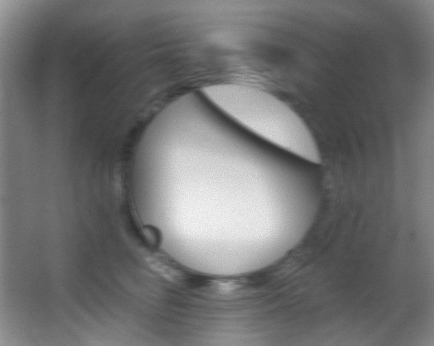 X0000068740662200604281017