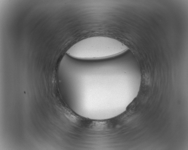X0000068740665200604281017