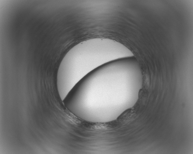 X0000068740668200604281017