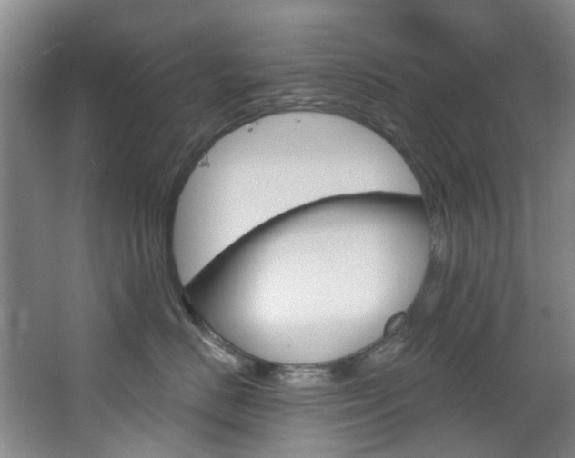 X0000068740670200604281018