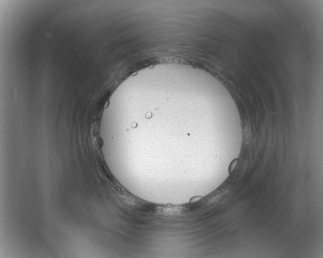 X0000068740671200604281018