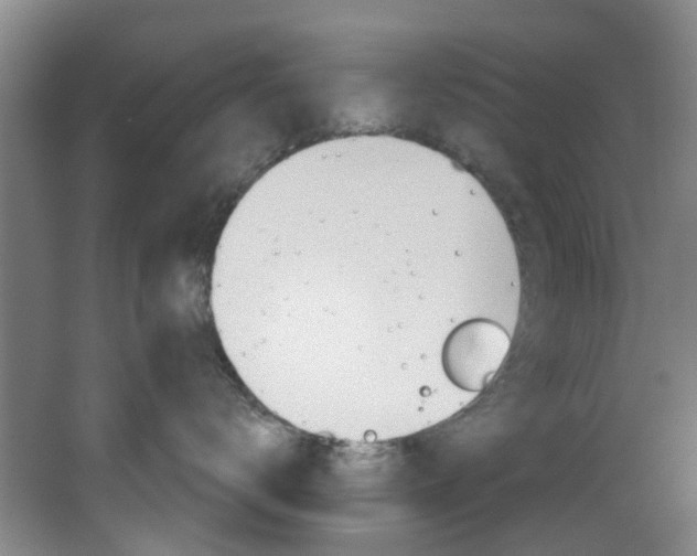 X0000068740672200604281018