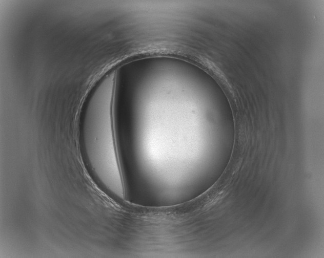 X0000068740673200604281017