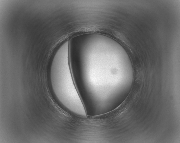 X0000068740681200604281017