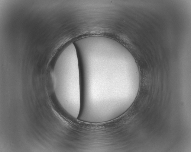X0000068740683200604281017