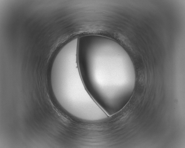 X0000068740685200604281017