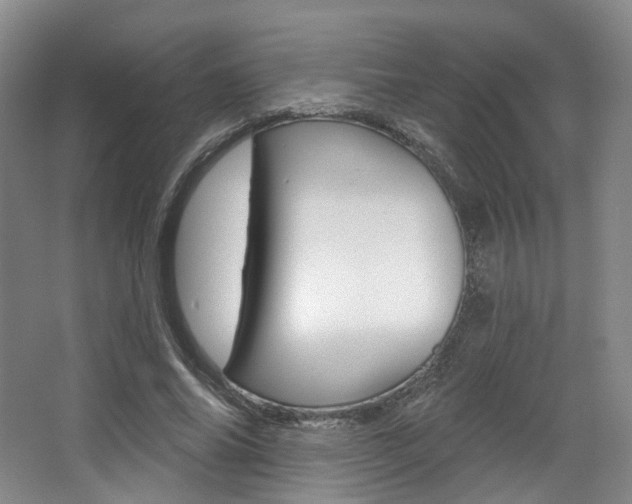 X0000068740686200604281017