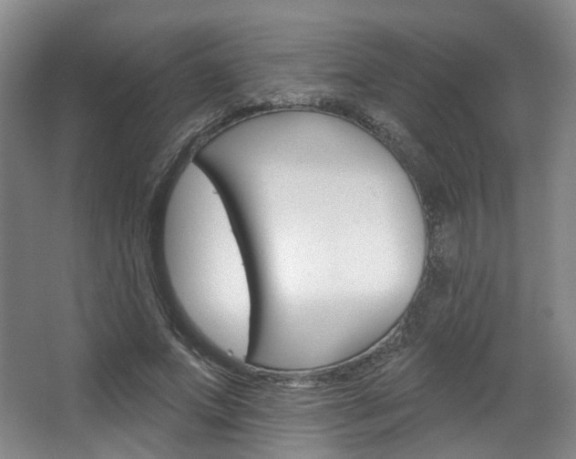 X0000068740687200604281016