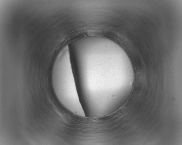 X0000068740698200604281016