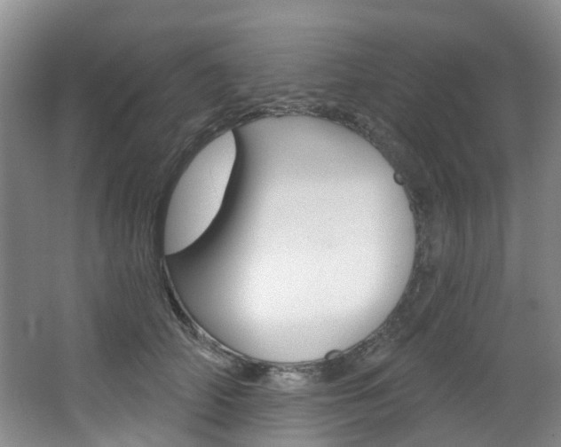 X0000068740706200604281016