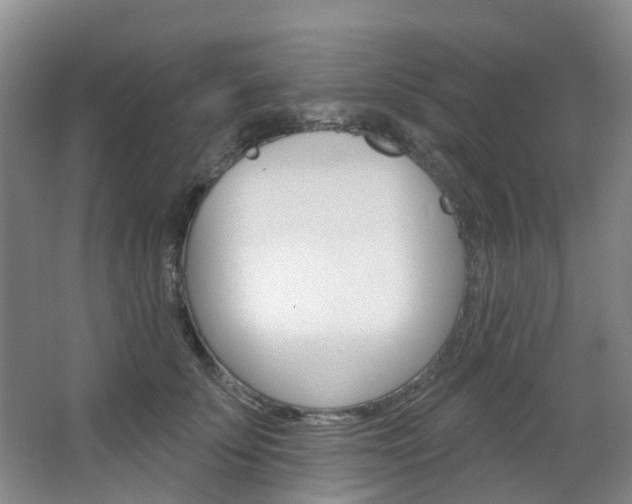 X0000068740707200604281016