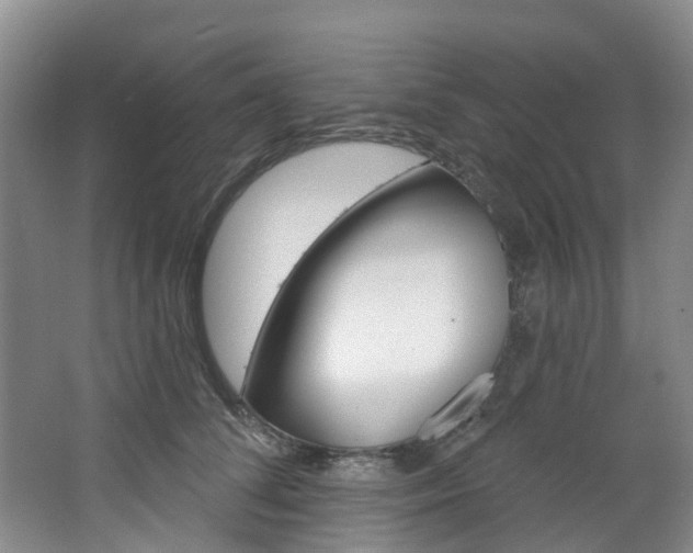 X0000068740708200604281016