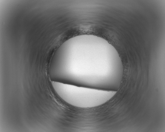 X0000068740710200604281016