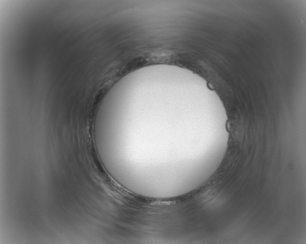X0000068740711200604281016