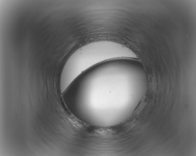 X0000068740712200604281016